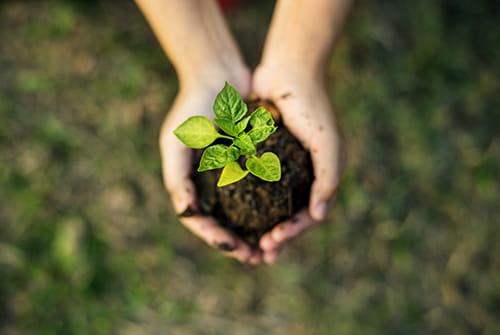 Sustainability LR
