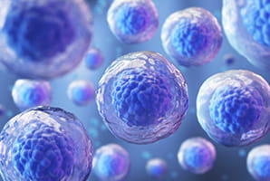 CGT cells