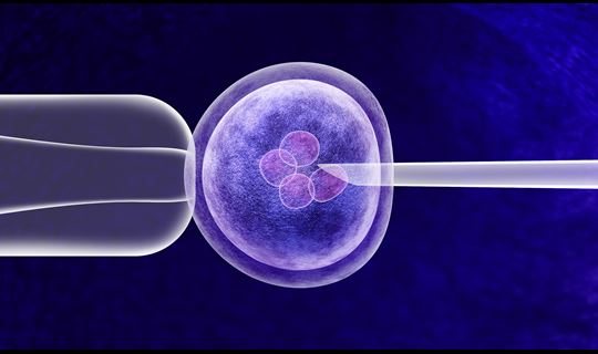 Fresh or frozen: the supply chain needs of your cell and gene therapy
