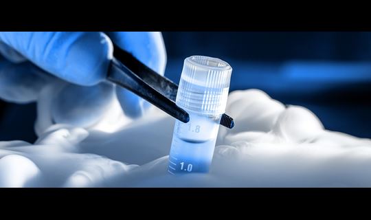 Clinical Trial Header