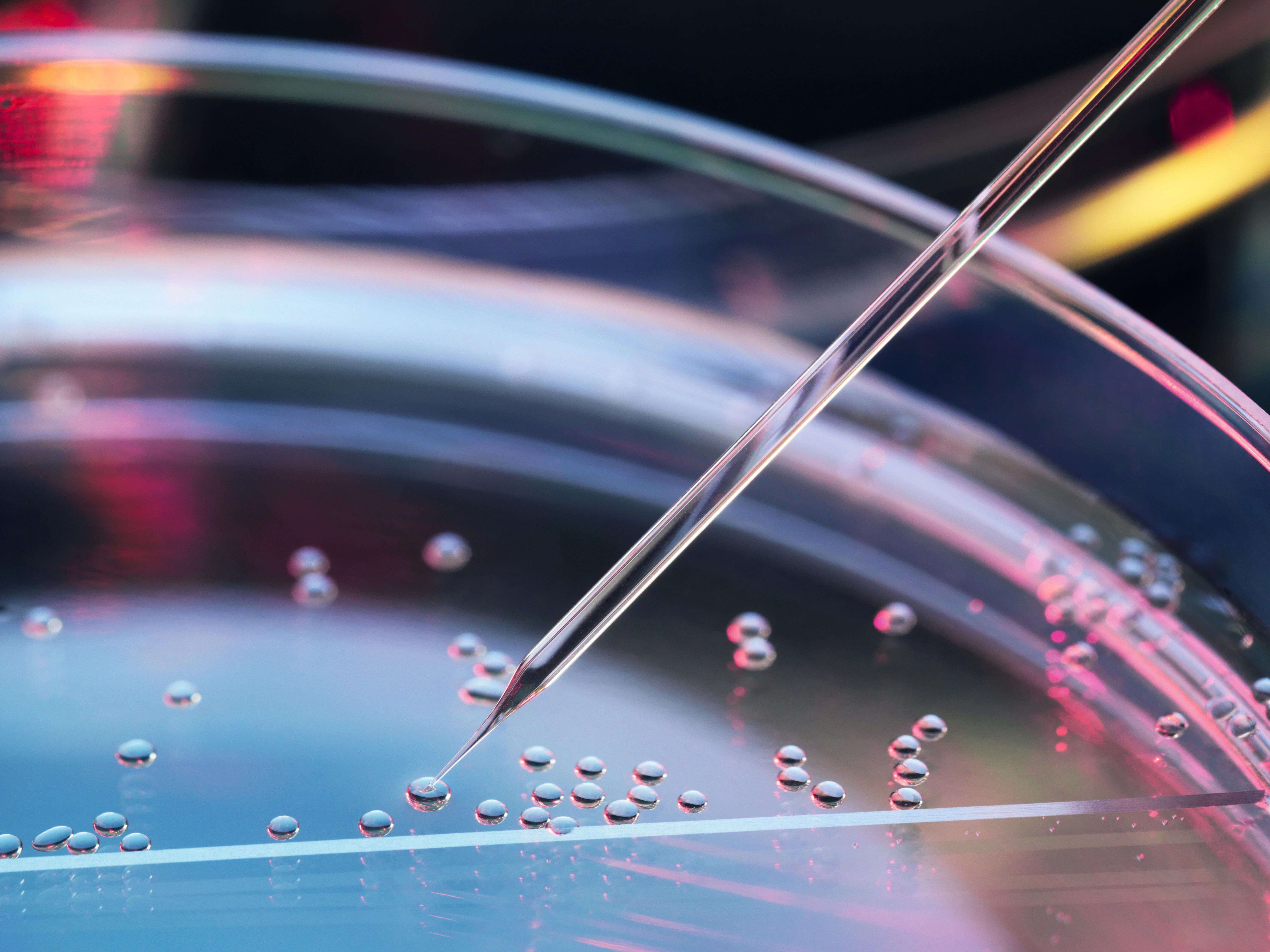 Modifying bubbles in abstract view