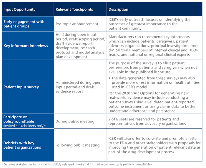 Key Patient Input Opportunities