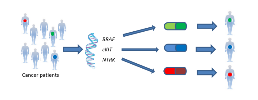 Figure 1. Precision Medicine Guiding Treatment Decision Making in Oncology