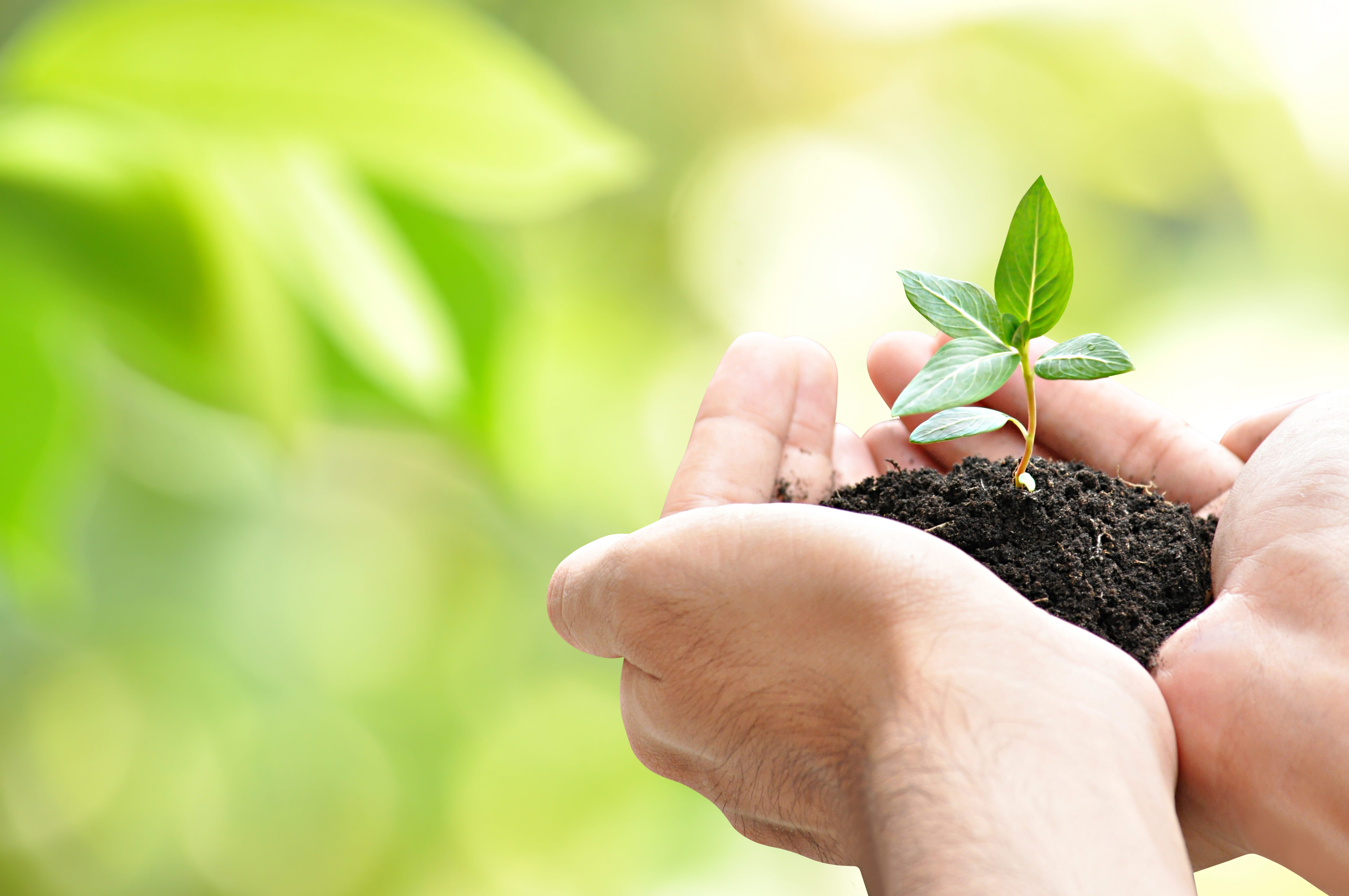 sustentabilidade